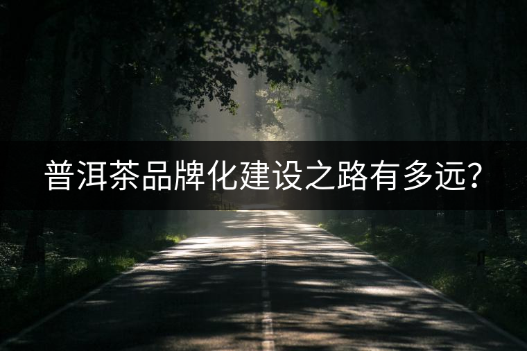 普洱茶品牌化建設(shè)之路有多遠(yuǎn)？
