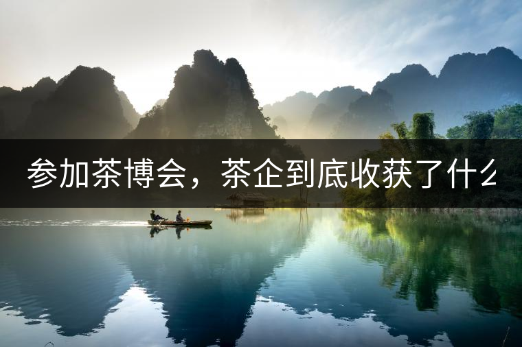 參加茶博會(huì)，茶企到底收獲了什么？