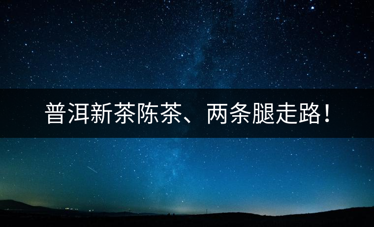 普洱新茶陳茶、兩條腿走路！