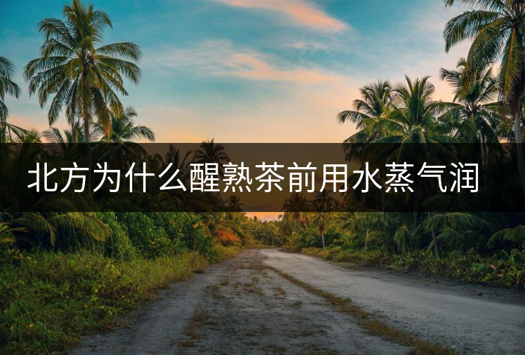 北方為什么醒熟茶前用水蒸氣潤一下？有何用處？