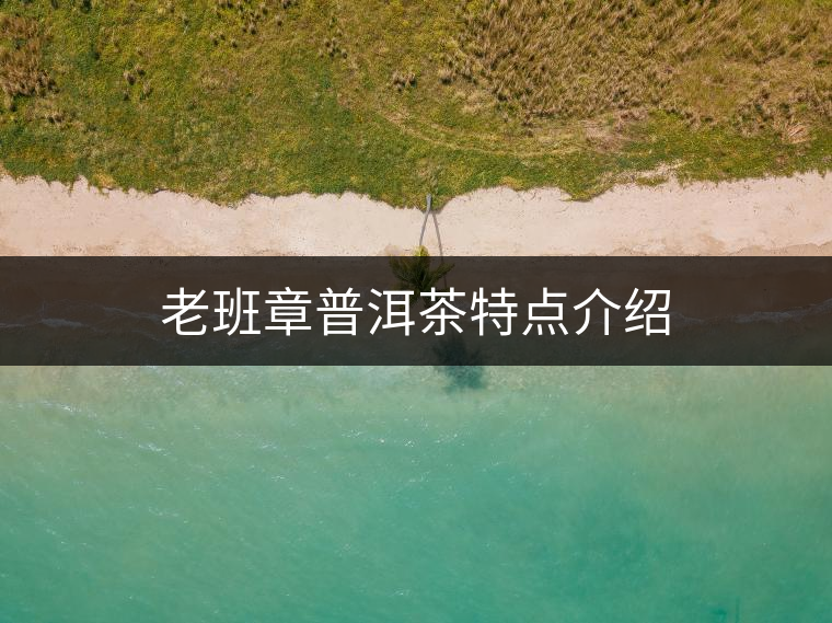 老班章普洱茶特點(diǎn)介紹