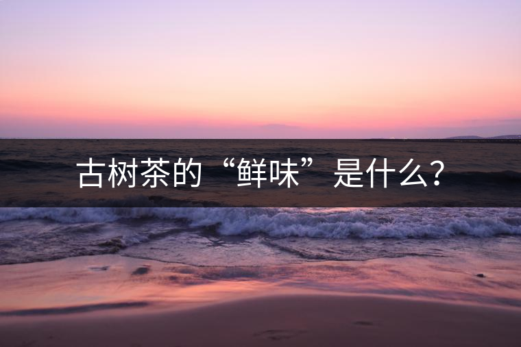 古樹茶的“鮮味”是什么？