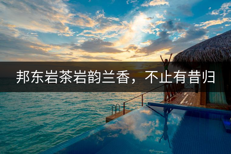 邦東巖茶巖韻蘭香，不止有昔歸