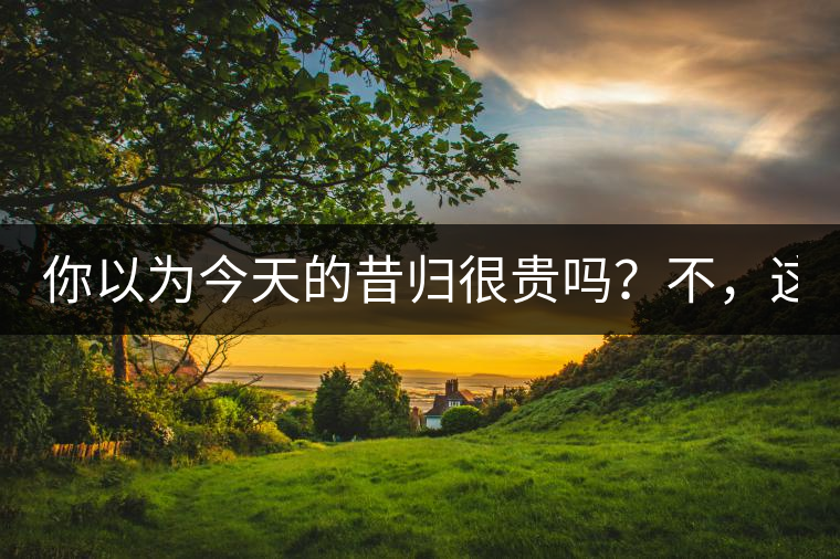 你以為今天的昔歸很貴嗎？不，這只是開始！