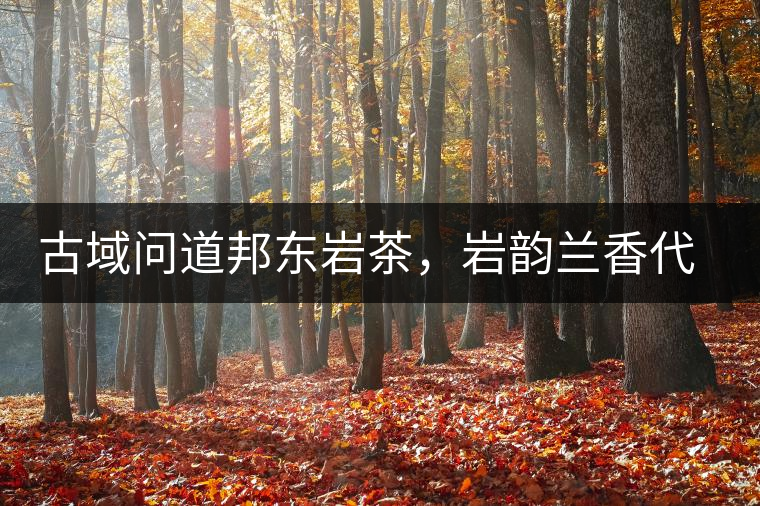 古域問(wèn)道邦東巖茶，巖韻蘭香代表邦東古樹(shù)茶特點(diǎn)