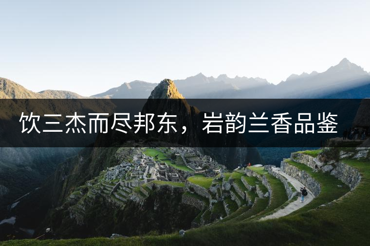 飲三杰而盡邦東，巖韻蘭香品鑒：生于山石上，韻味正當(dāng)