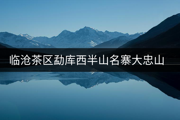 臨滄茶區(qū)勐庫西半山名寨大忠山普洱茶介紹 臨滄茶區(qū)勐庫西半山名寨大忠山普洱茶介紹