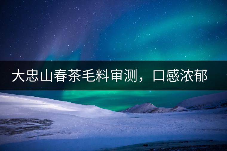 大忠山春茶毛料審測(cè)，口感濃郁花香與甜潤(rùn)口感相得益彰