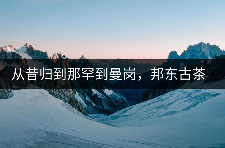 從昔歸到那罕到曼崗，邦東古茶藏著一條規(guī)律！