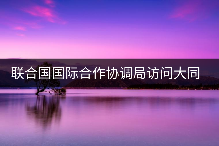 聯(lián)合國國際合作協(xié)調局訪問大同世界總部 聯(lián)合國國際合作協(xié)調局訪問大同世界總部
