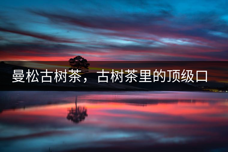 曼松古樹茶，古樹茶里的頂級口感