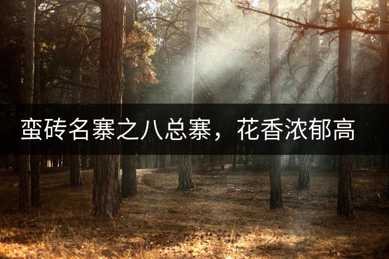 蠻磚名寨之八總寨，花香濃郁高揚(yáng)