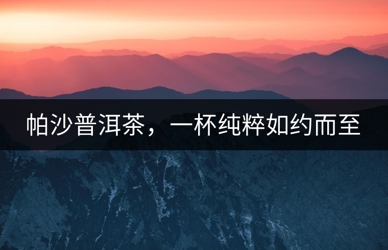 帕沙普洱茶，一杯純粹如約而至