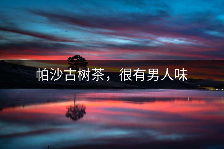 帕沙古樹茶，很有男人味