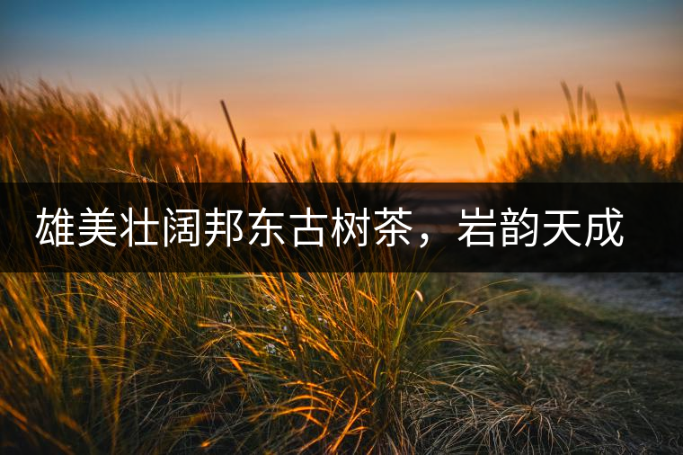 雄美壯闊邦東古樹茶，巖韻天成甘香鮮靈