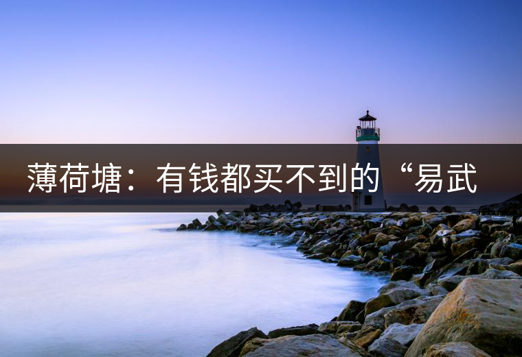 薄荷塘：有錢都買不到的“易武貴胄”，卓爾不群，無茶可及