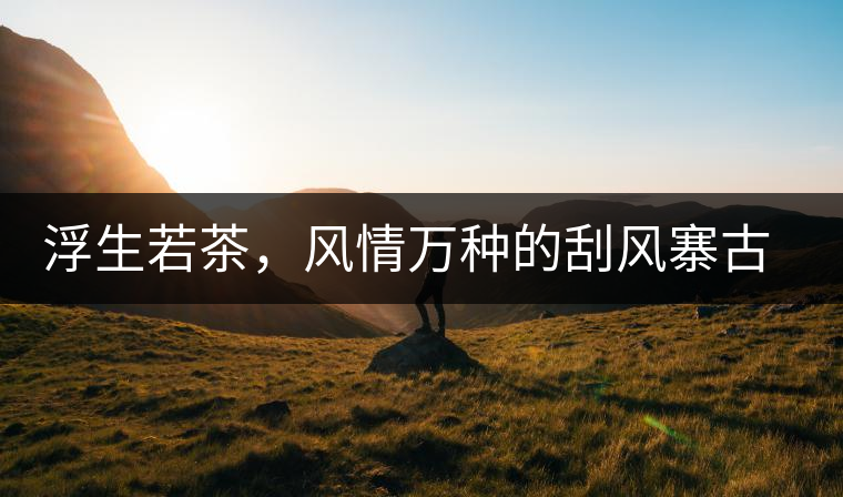 浮生若茶，風(fēng)情萬種的刮風(fēng)寨古樹茶