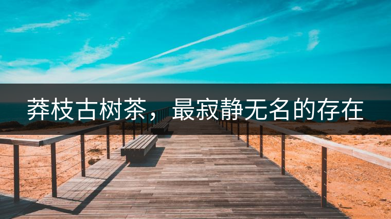 莽枝古樹茶，最寂靜無(wú)名的存在