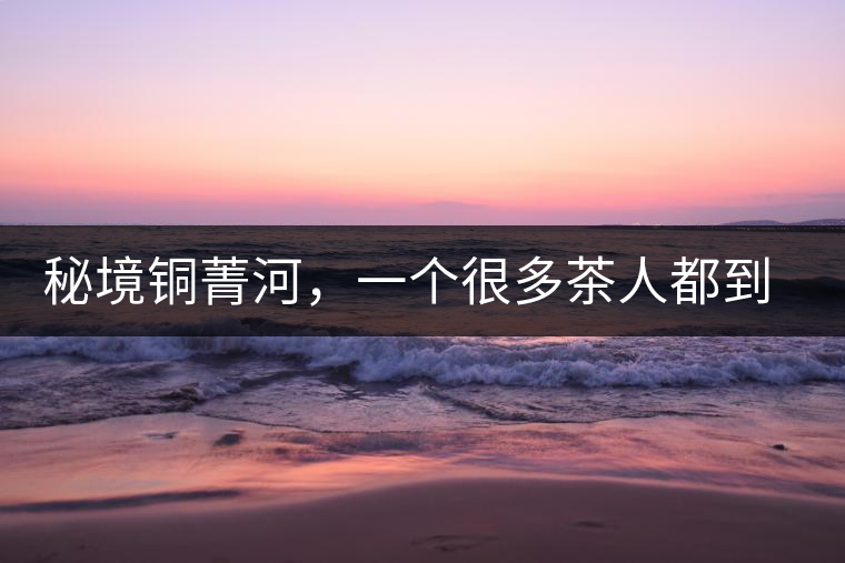 秘境銅菁河，一個(gè)很多茶人都到不了的地方