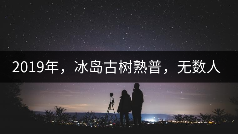 2019年，冰島古樹熟普，無(wú)數(shù)人在尋找