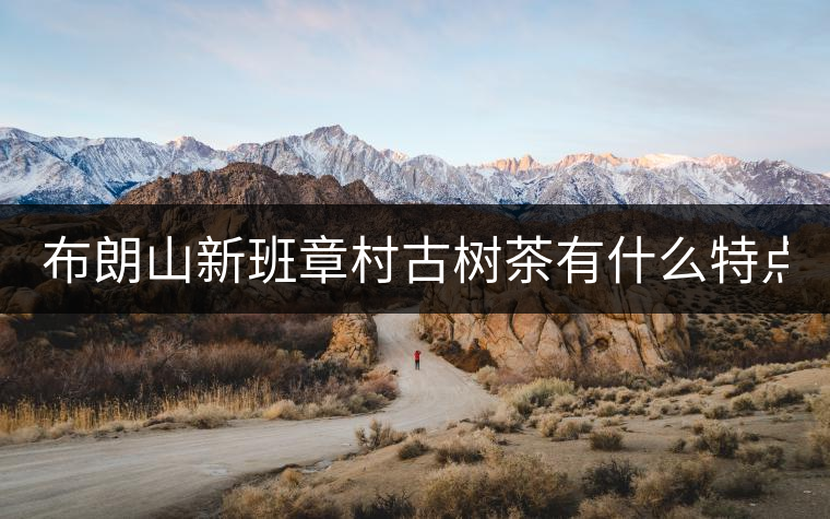 布朗山新班章村古樹茶有什么特點(diǎn)？