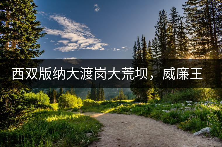 西雙版納大渡崗大荒壩，威廉王子曾經(jīng)到過的古樹茶山
