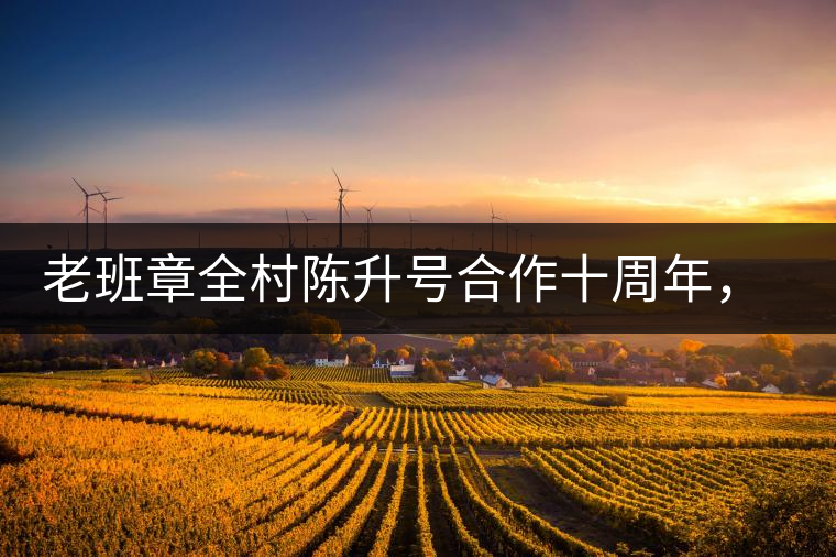 老班章全村陳升號合作十周年，贈送千兩百家茶