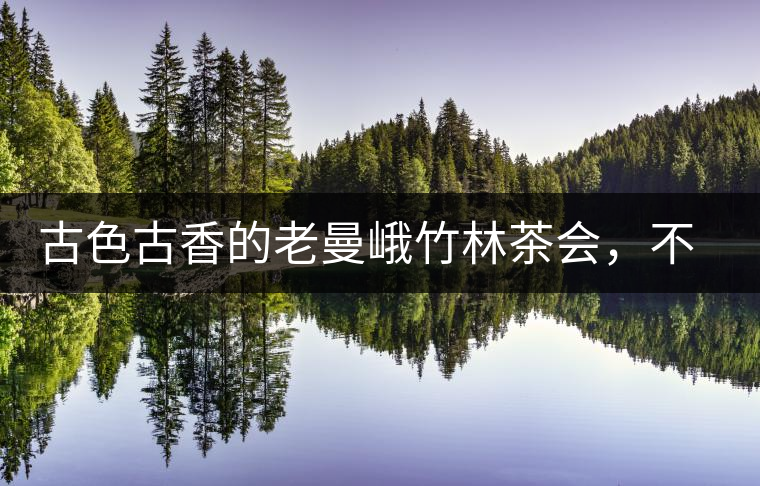 古色古香的老曼峨竹林茶會，不一樣的古樹茶