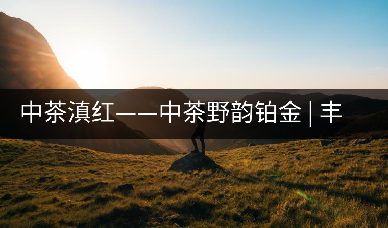 中茶滇紅——中茶野韻鉑金 | 豐苗挺秀，山野花香