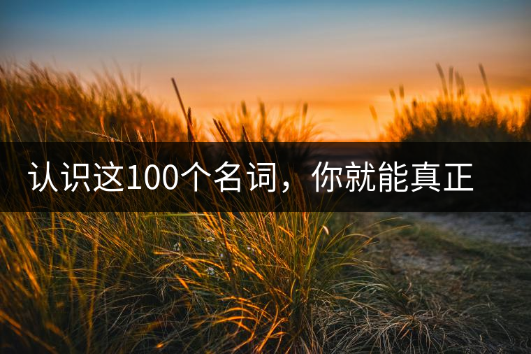 認(rèn)識這100個名詞，你就能真正了解普洱茶？