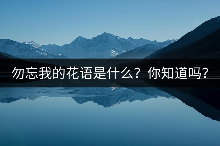 勿忘我的花語(yǔ)是什么？你知道嗎？