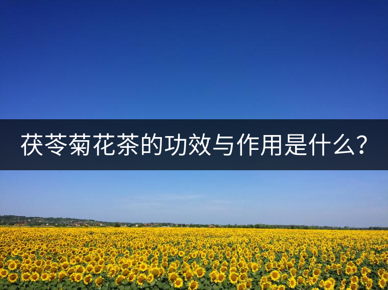 茯苓菊花茶的功效與作用是什么？