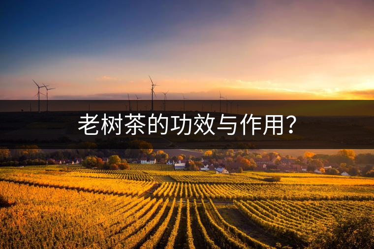 老樹茶的功效與作用？