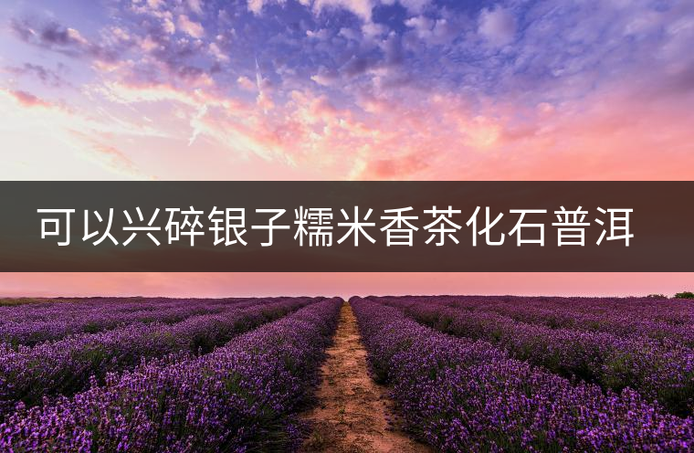 可以興碎銀子糯米香茶化石普洱茶熟茶特級(jí)易武古樹茶葉禮盒裝送禮 可以興碎銀子糯米香茶化石普洱茶熟茶特級(jí)易武古樹茶葉禮盒裝送禮