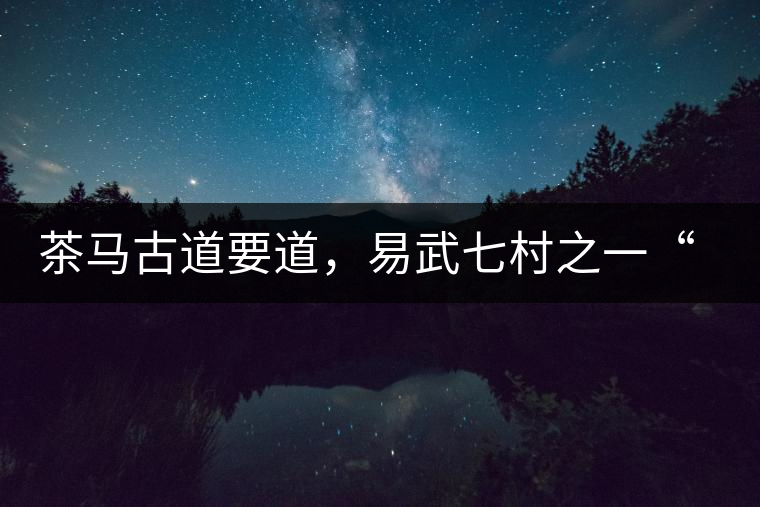 茶馬古道要道，易武七村之一“張家灣”古茶園