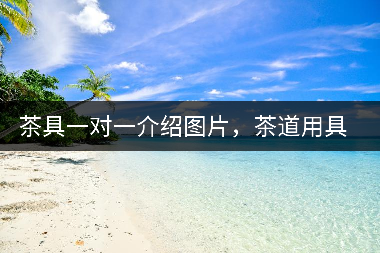 茶具一對一介紹圖片，茶道用具圖解