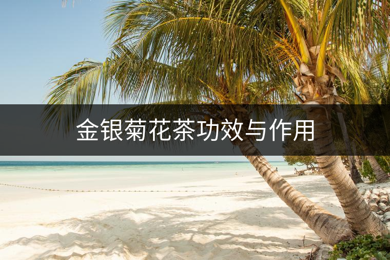 金銀菊花茶功效與作用