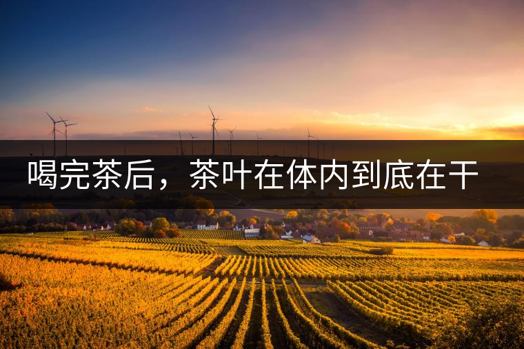 喝完茶后，茶葉在體內到底在干嘛，游走的茶水