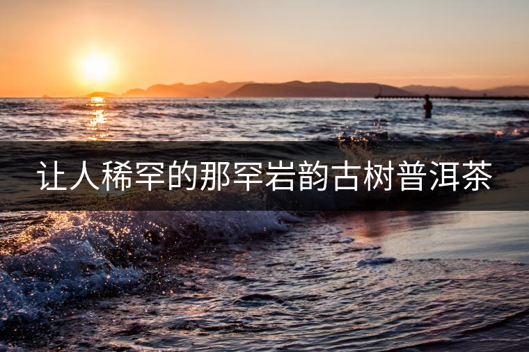 讓人稀罕的那罕巖韻古樹普洱茶 讓人稀罕的那罕巖韻古樹普洱茶