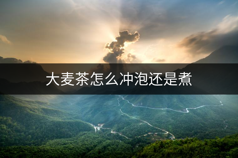 大麥茶怎么沖泡還是煮 大麥茶怎么沖泡還是煮