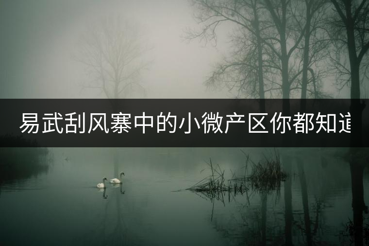 易武刮風(fēng)寨中的小微產(chǎn)區(qū)你都知道嗎？