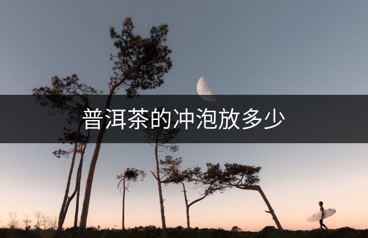 普洱茶的沖泡放多少