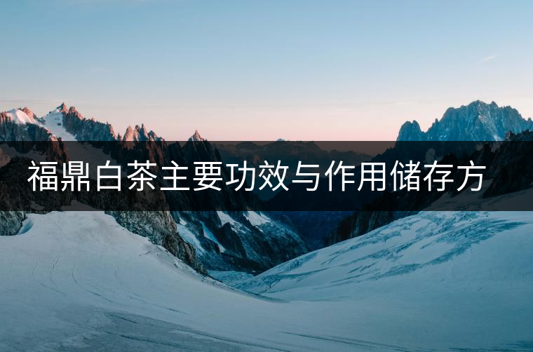 福鼎白茶主要功效與作用儲存方法