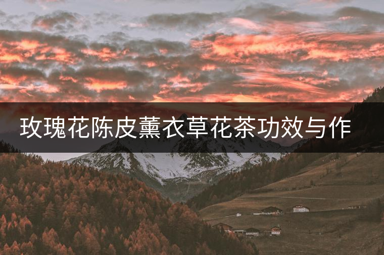 玫瑰花陳皮薰衣草花茶功效與作用