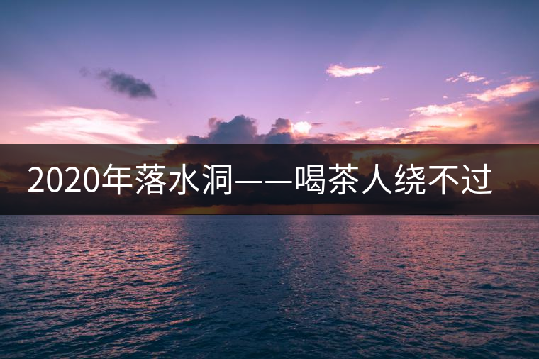 2020年落水洞——喝茶人繞不過的溫柔鄉(xiāng)！-易武中聘號(hào)
