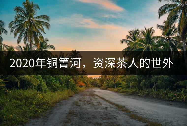 2020年銅箐河，資深茶人的世外桃源-易武-易武中聘號(hào)