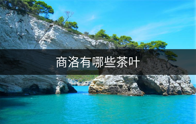 商洛有哪些茶葉