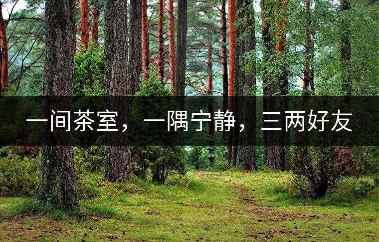 一間茶室，一隅寧?kù)o，三兩好友