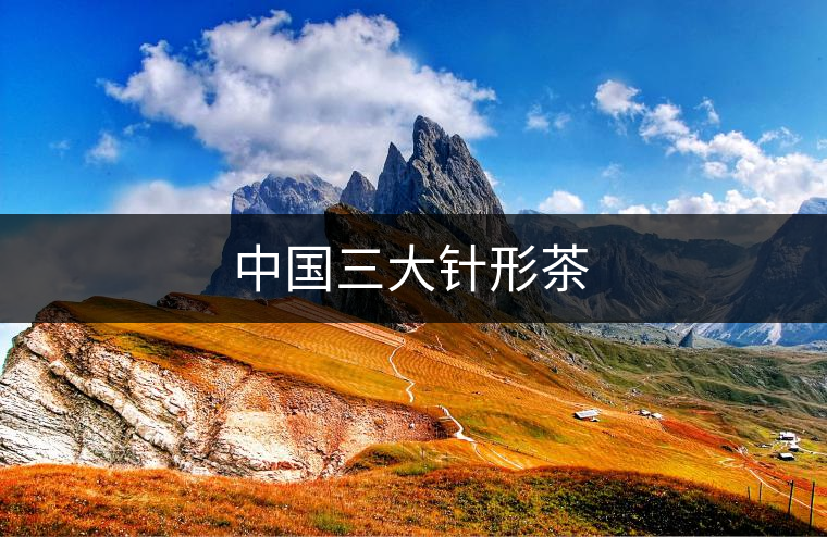 中國三大針形茶 中國三大針形茶