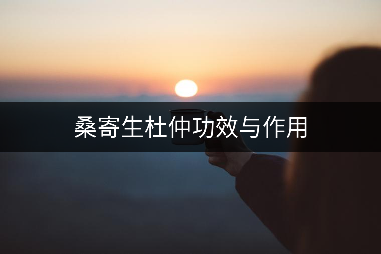 桑寄生杜仲功效與作用
